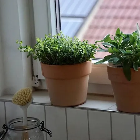 Apartment Vogelnest - Gemütlich Und Klimatisiert - Perfekt Zum Abschalten! Nordheim (Baden-Wurttemberg)